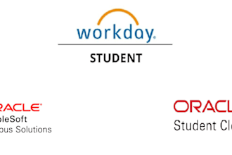provide professional services to implement and support workday and peoplesoft