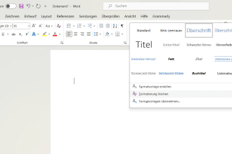 type and format microsoft word document for you