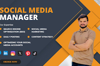 manage facebook , instagram pages professionally