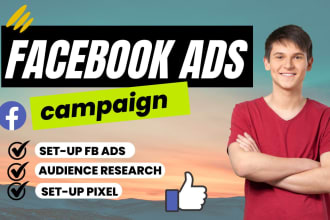 setup and manage facebook ads campaign for leads and sales