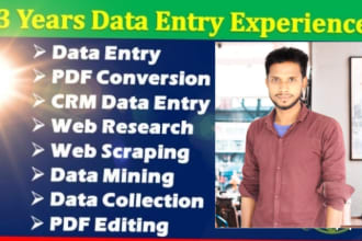 do data  entry and web research expert