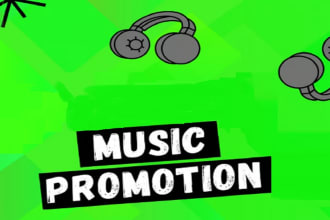 promote your music on playlist curators or on social media network