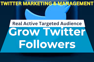 do professionally twitter marketing and promotion with organic growth