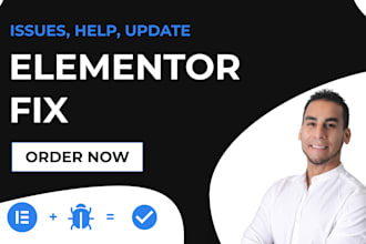 fix elementor issues, critical error, bugs and support