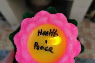 monthly blessing for beloved pets, family,offer lotus candle, monk robes to gods