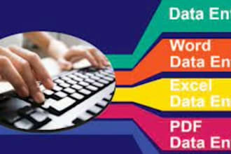 do accurate data entry services for all your needs