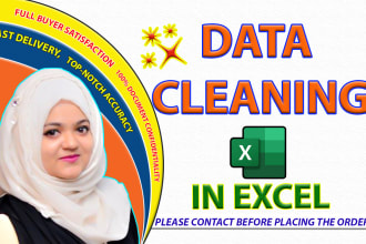 do excel data cleaning, typing, formatting, data entry, file convert job