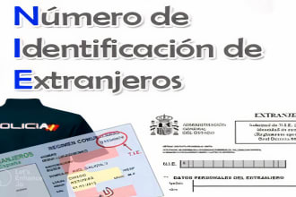 provide nie spain tax id remotely