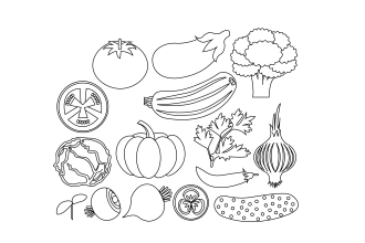 draw one line art of flowers, fruits, vegetables, plants