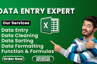 be your microsoft excel expert for excel and google sheets