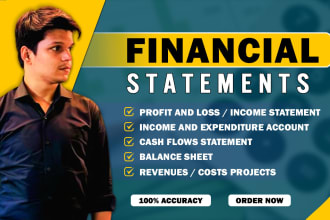 do financial statements , profit and loss , balance sheet projects