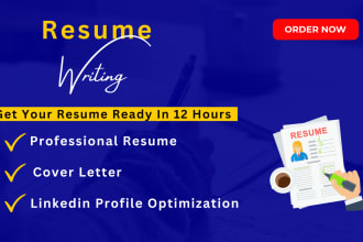 deliver professional resume maker and tech cv writing service