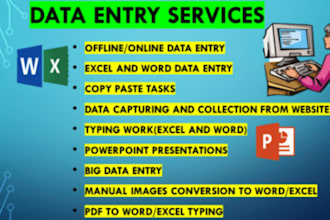 be your virtual assistant for fast accurate data entry and admin work