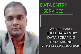 professlonally  data entry services