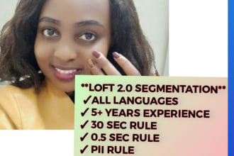 provide professional loft two segmentation