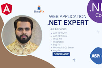 develop a web application in angular, asp net core, mvc, apis