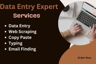 do accurate data entry, word, excel and database work