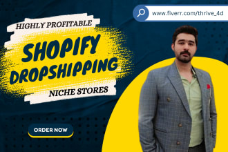 set up a professional shopify dropshipping niche store