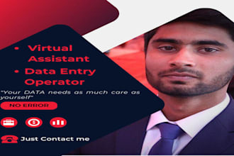 provide accurate data entry services with lightning speed