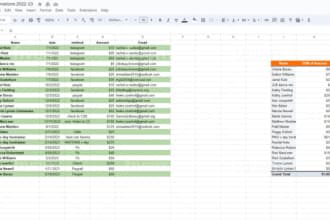 do excel sorting,cleaning data,data arrange