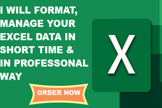 professionally format and clean excel data