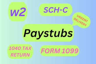 make paystub, check stubs, payroll, w2, 1099 and 1040