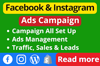 setup facebook ads campaign, run fb ads campaign, instagram ads, fb advertising