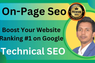 website on page SEO and optimization service of wordpress