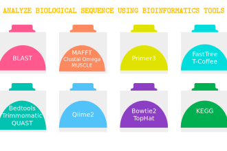 analyze biological sequences using bioinformatics tools
