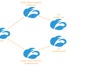 undertake tasks of configuring and troubleshooting zscaler