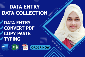 do excel data entry, convert pdf, copy paste, data collection