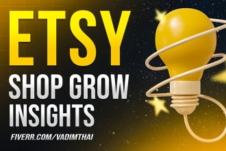 provide etsy shop insights, listing seo ads rank promotion traffic sales