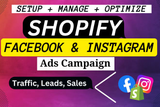 create shopify facebook ads and instagram ads campaign consultant