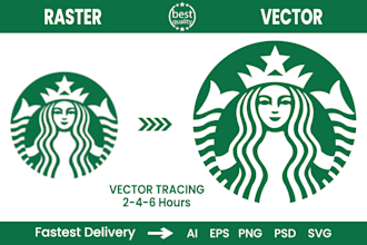 perfectly recreate raster to vector, redraw,  illustration,