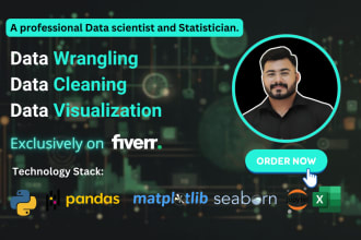 do excel automation, CSV processing, data cleaning python