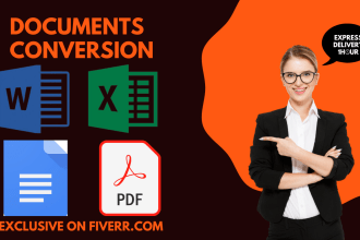 do excel data entry, convert pdf to excel, copy paste, typing