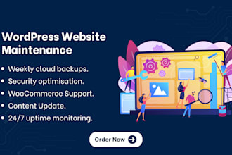 provide expert wordpress website maintenance, customization, and support