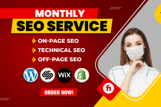 do complete monthly SEO service package with manual backlinks for google ranking