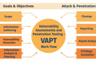 do web app penetration testing and vulnerability assessment