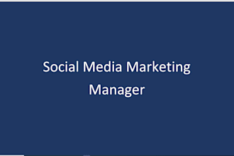 set up tiktok shop, tiktok ads, and do tiktok marketing