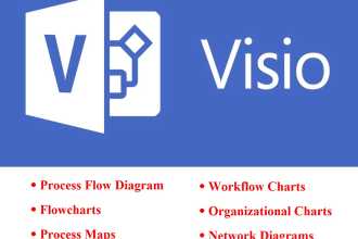 draw infographics, flowcharts, process flow diagram, bpmn, org chart, roadmaps