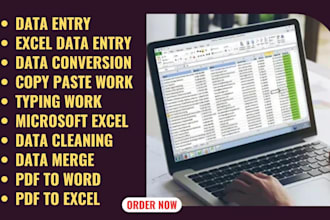 be your professional virtual assistant for file conversion and data entry