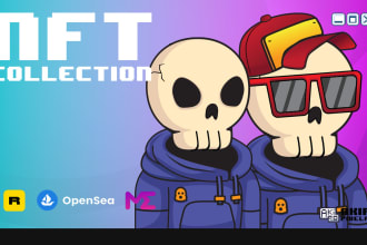 do nft collection doodle art professional
