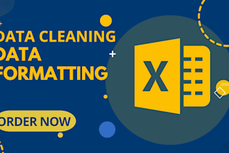do data cleaning editing and sorting and formatting work