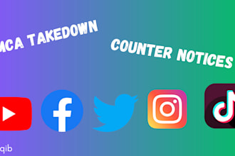 report to youtube twitter instagram facebook tiktok under dmca