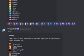 professionally setup your new or existing discord server