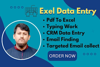 do the fastest excel data entry, PDF to excel, typing work