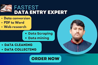 do fastest data entry, data conversion, data mining and cleaning