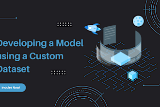assist in training a model using a custom dataset on yolo