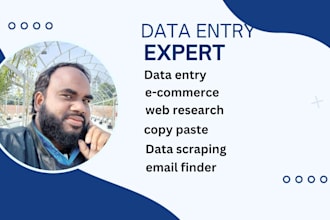 first class data entry, copy paste, typing  job